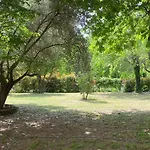 Affittacamere Ca' De Mazapedar *
