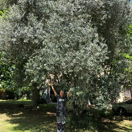 Ca' De Mazapedar San Lorenzo (Ravenna)