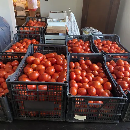 Affittacamere Ca' De Mazapedar *