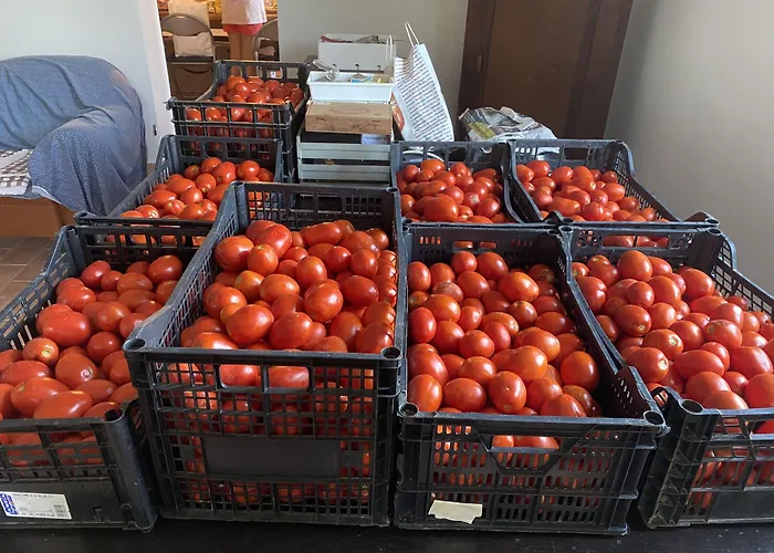 Vendégház Ca' De Mazapedar *